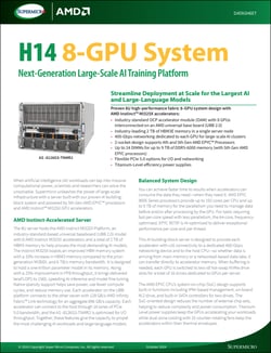 H14 8-GPU System
